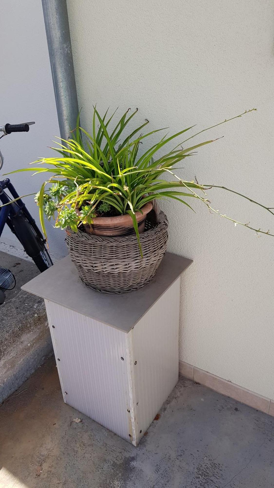 Apartments Bocin Rosso Hvar Town Luaran gambar